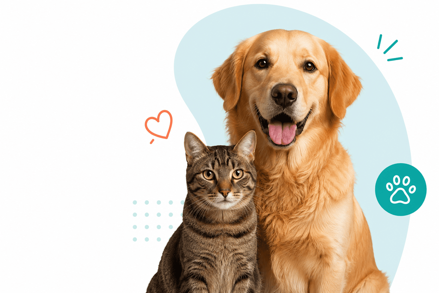 Perro y gato felices